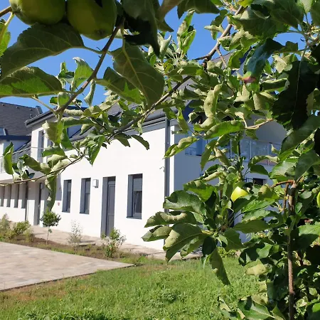 Silver Apartament