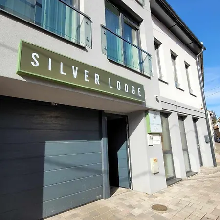 Silver Apartament Eger